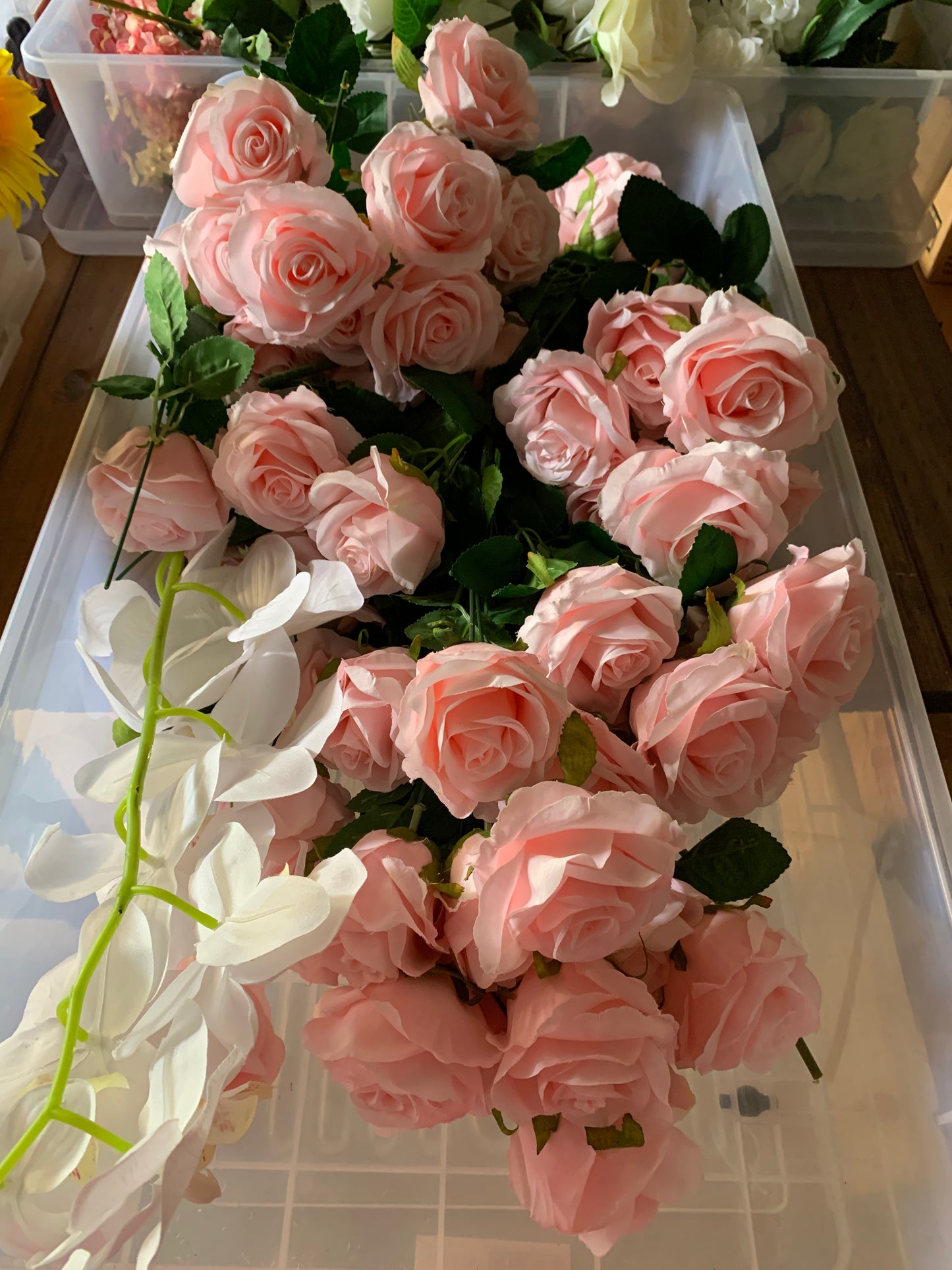 Pink Rose Stems and Leaves