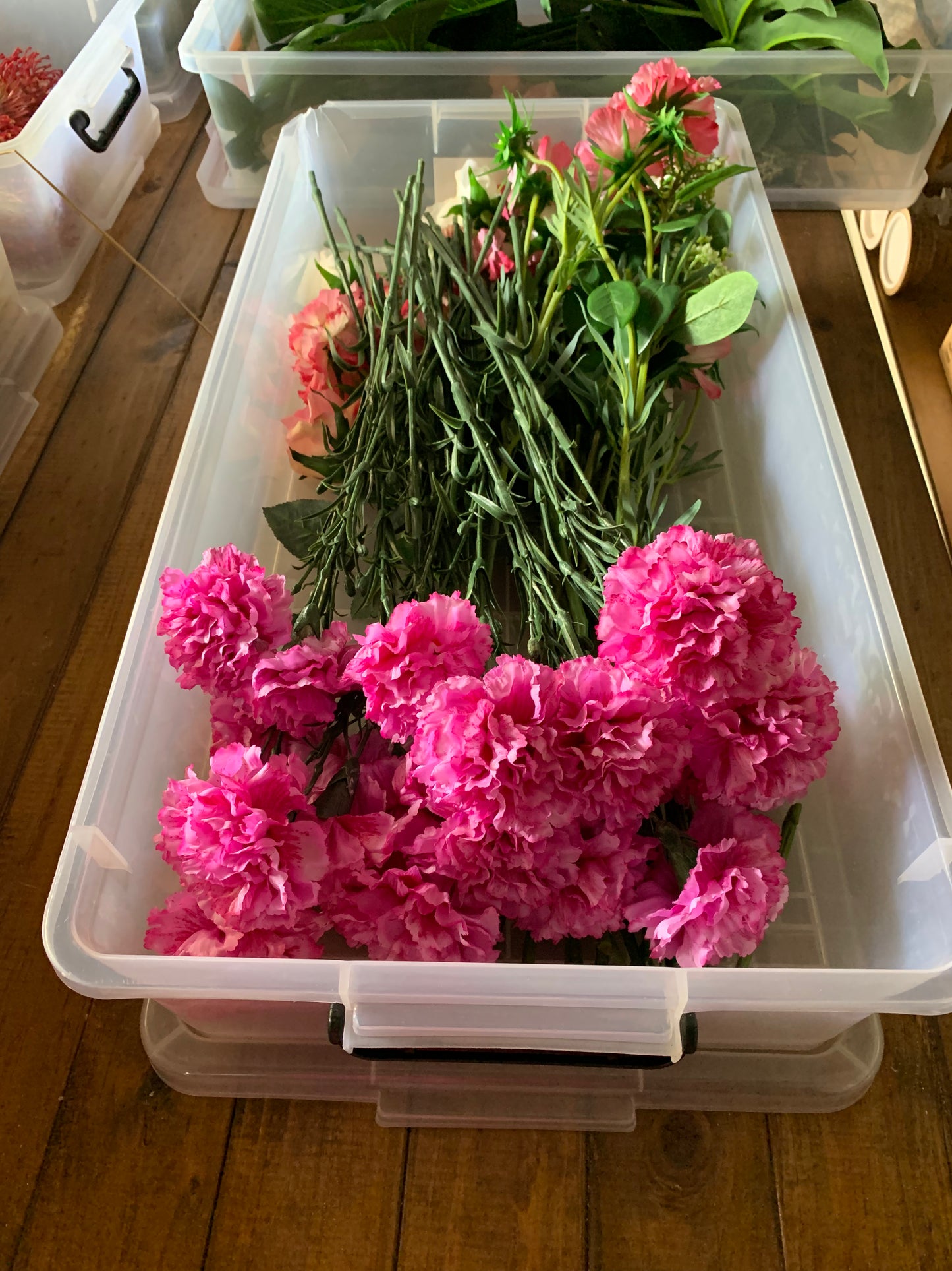 Pink Carnation Stems Rockhampton Vintage Hire