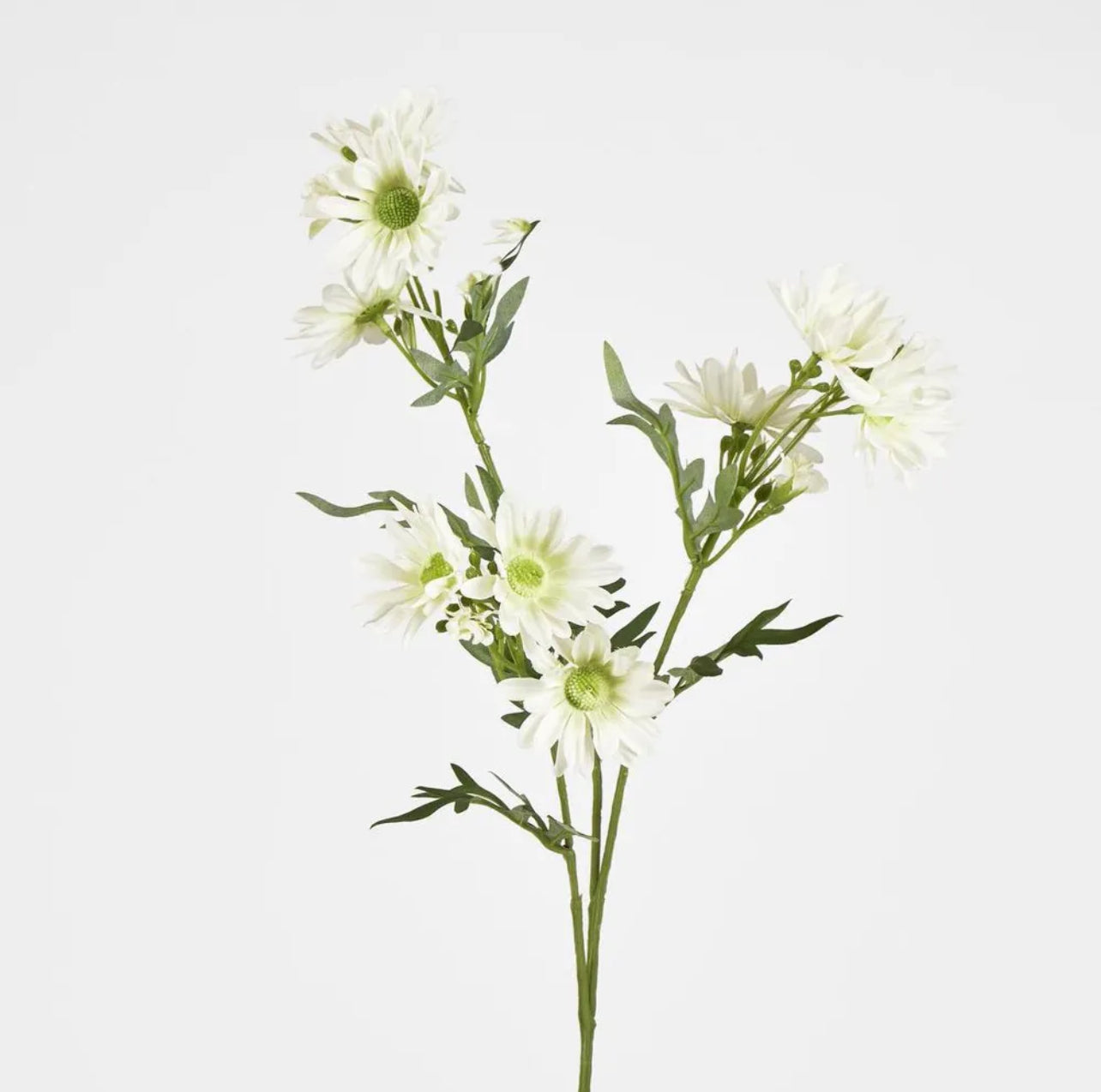 Daisy Spray White 74cm