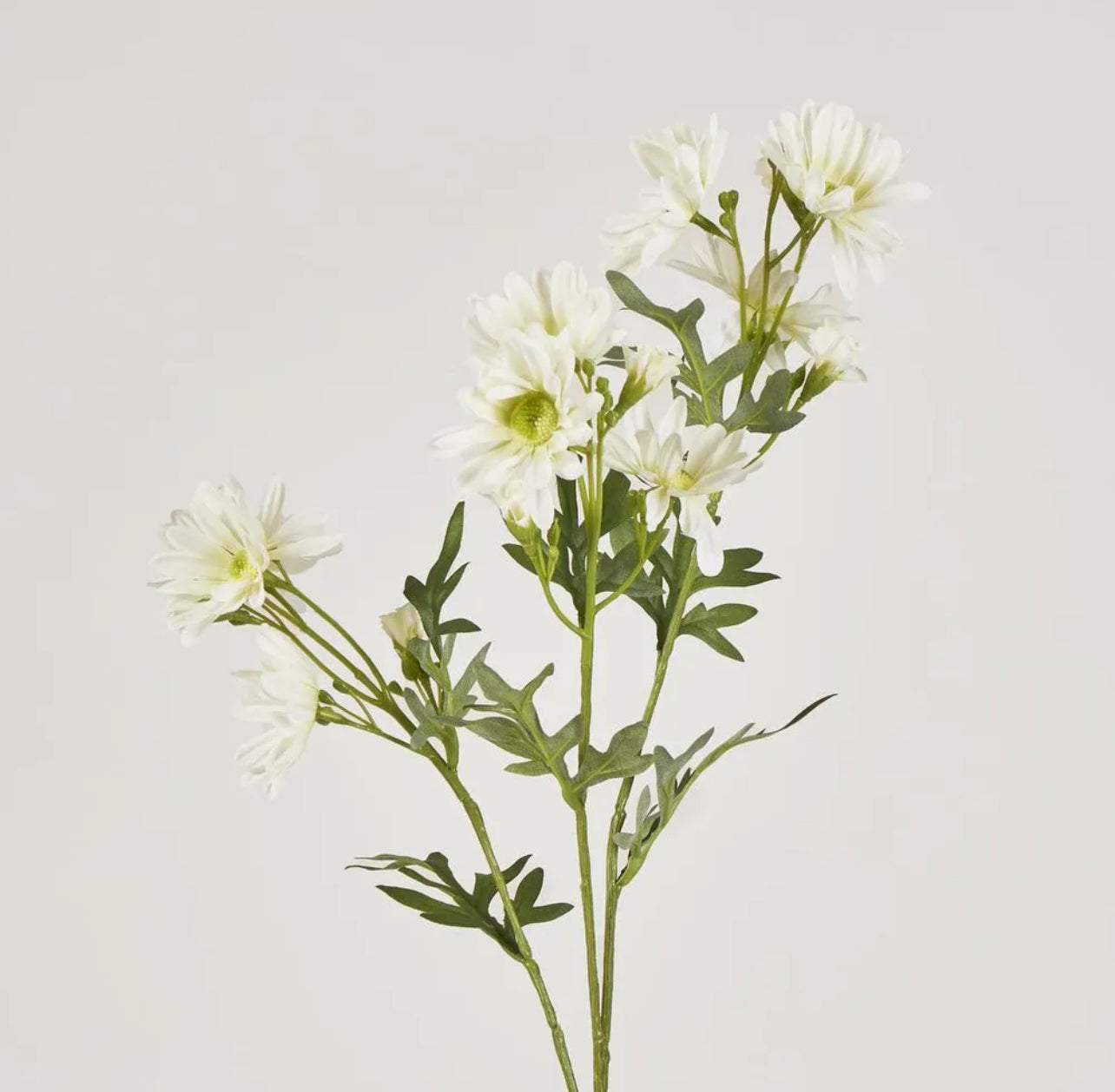 Daisy Spray White 74cm