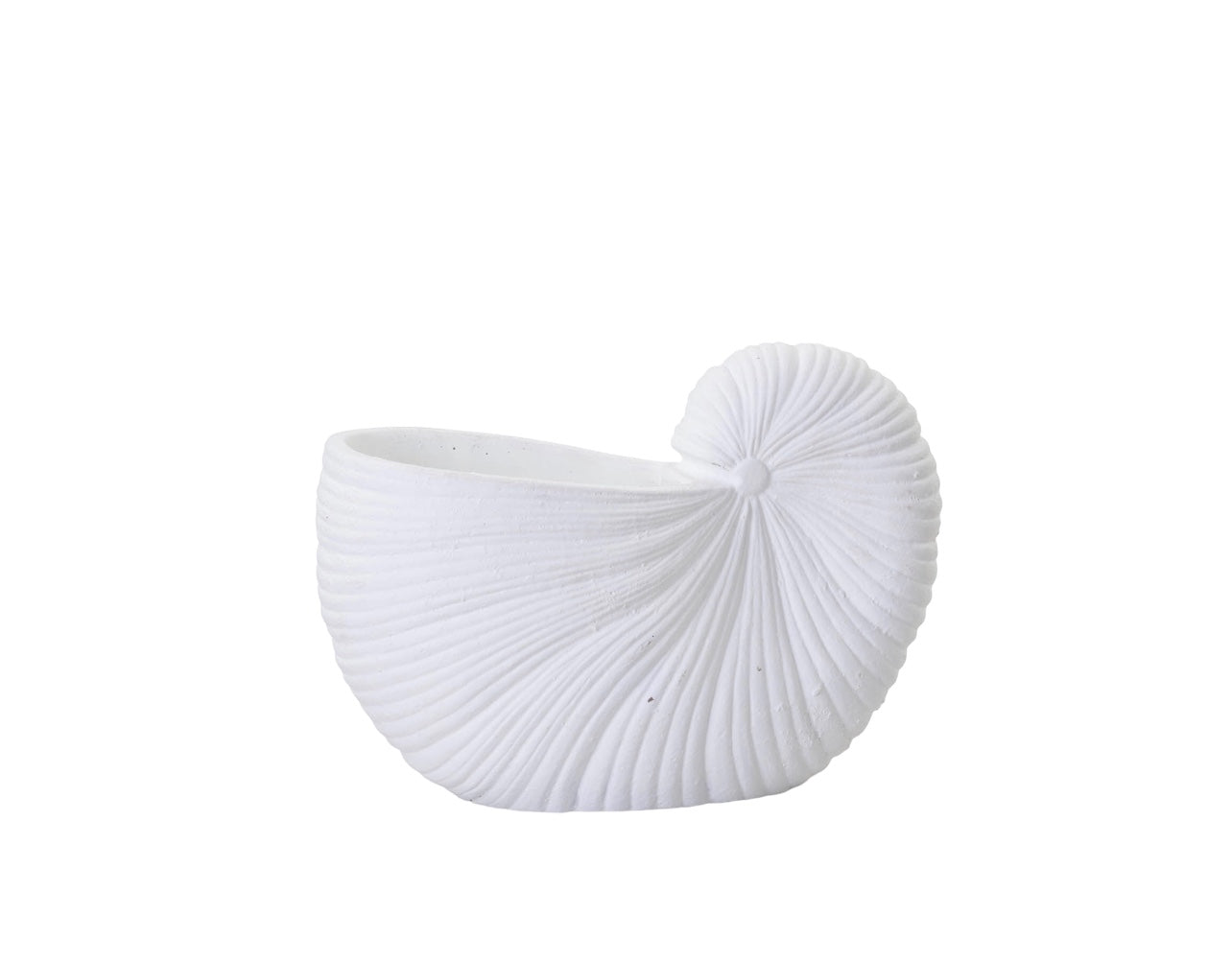 Shell Planter Decor Vase Rockhampton Vintage Hire