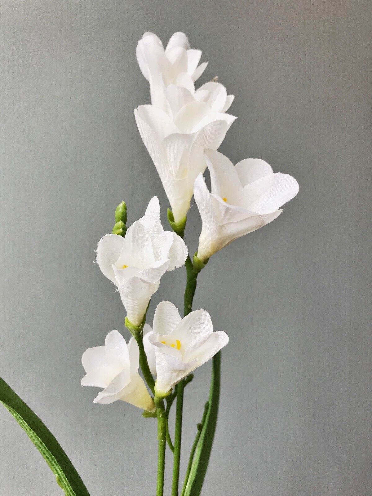 Artificial Freesias Stems and Leaves hire for your wedding & events from Rockhampton Vintage Hire