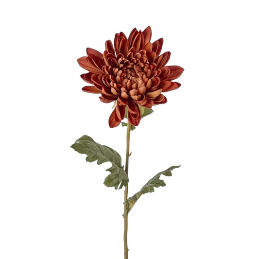 Chrysanthemum Mum Stem Brown 69cm