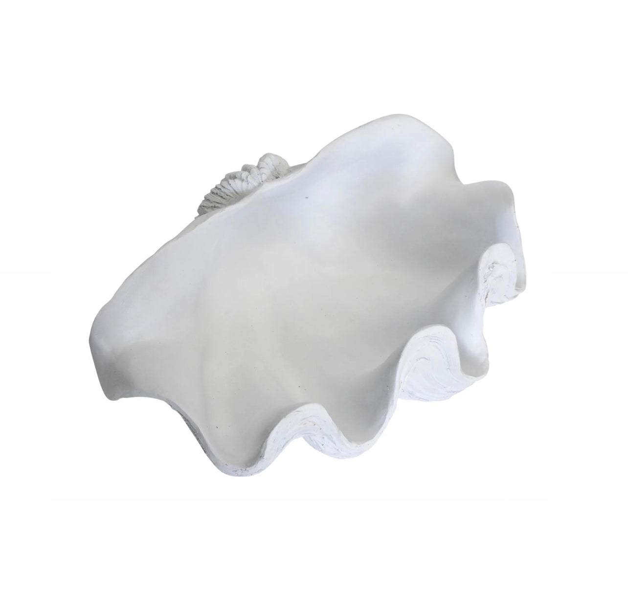 Clam Shell Set Clam Shell Set of 3 – rockhampton-vintage-hire