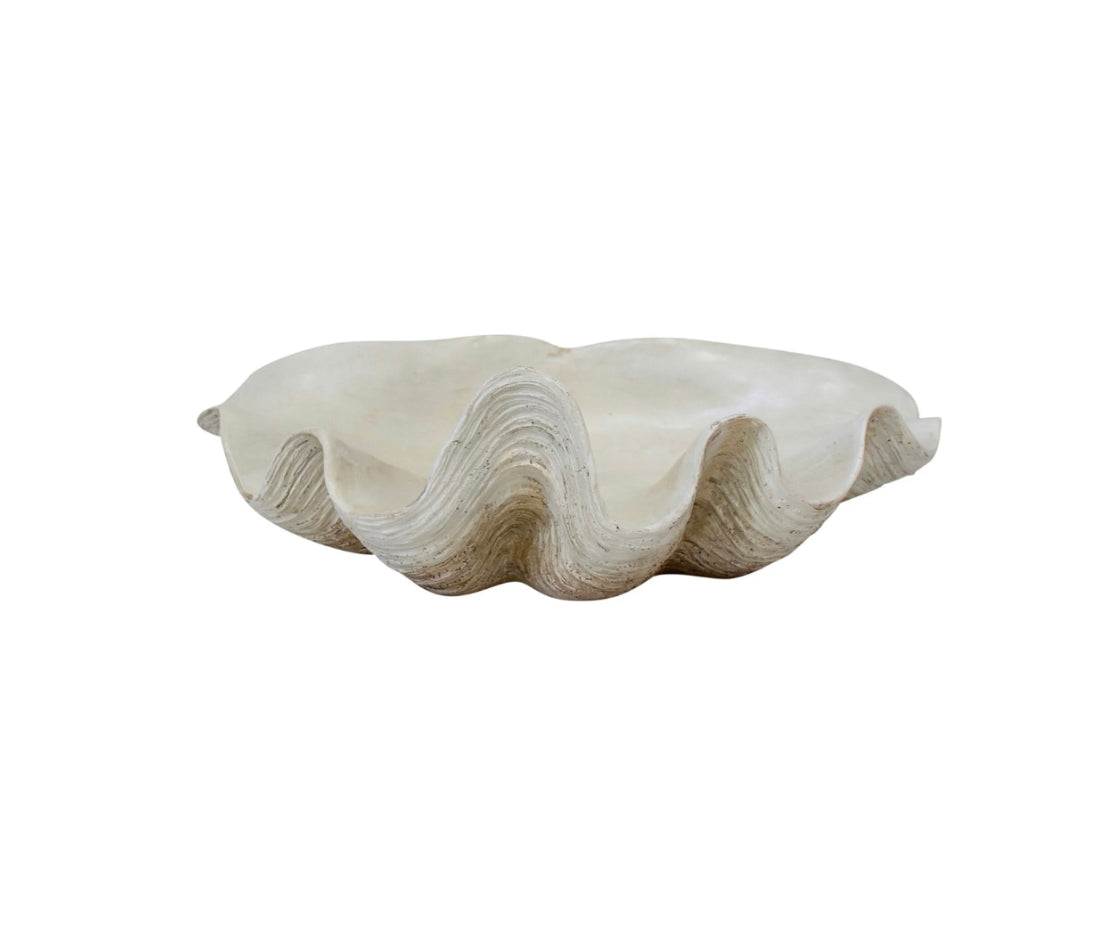Clam Shell Set of 3