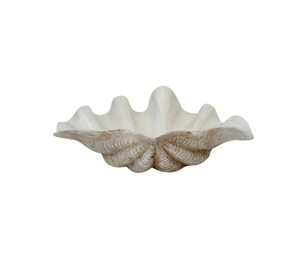 Clam Shell Set of 3