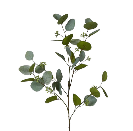 Eucalyptus With Seed Green 87cm Rockhampton Vintage Hire
