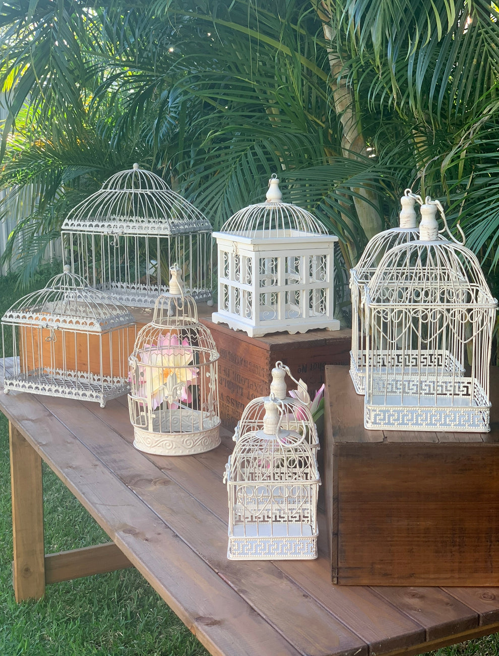 Bird Cages White x12 Bundle rockhamptonvintagehire